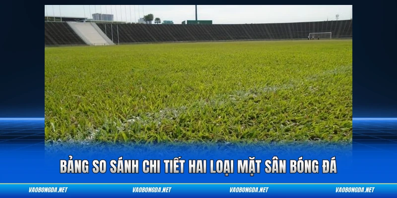 Bảng so sánh chi tiết hai loại mặt sân bóng đá