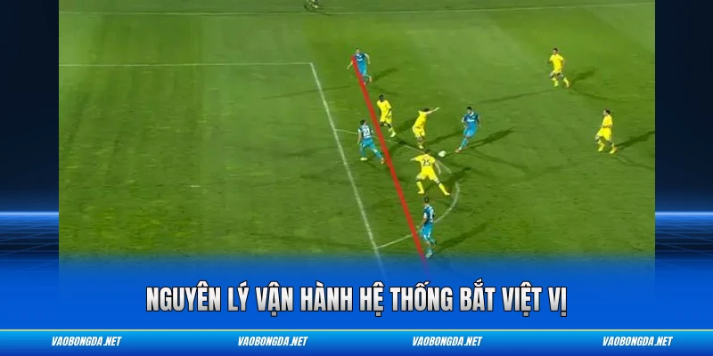 Nguyên lý vận hành hệ thống bắt việt vị