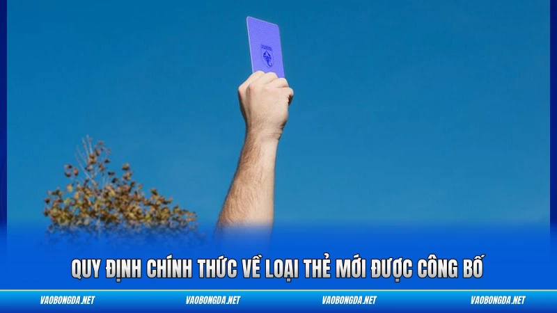 Quy định chính thức về loại thẻ mới được công bố