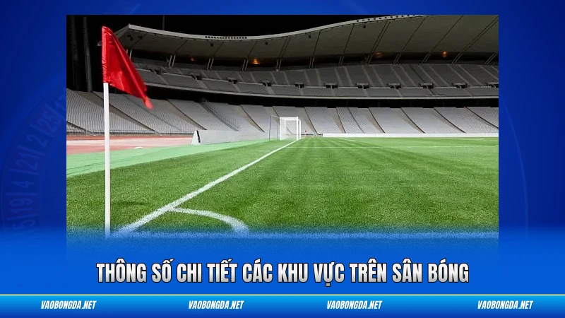 Thông số chi tiết các khu vực trên sân bóng