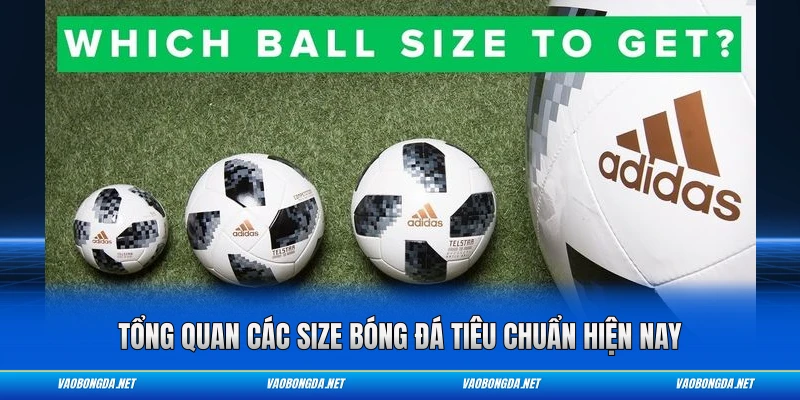 Tổng quan các size bóng đá tiêu chuẩn hiện nay