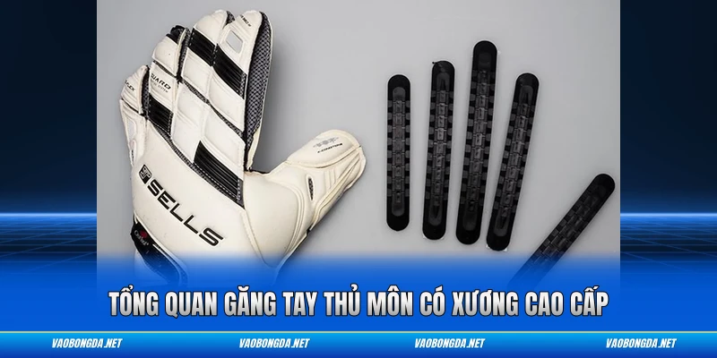 Tổng quan găng tay thủ môn có xương cao cấp
