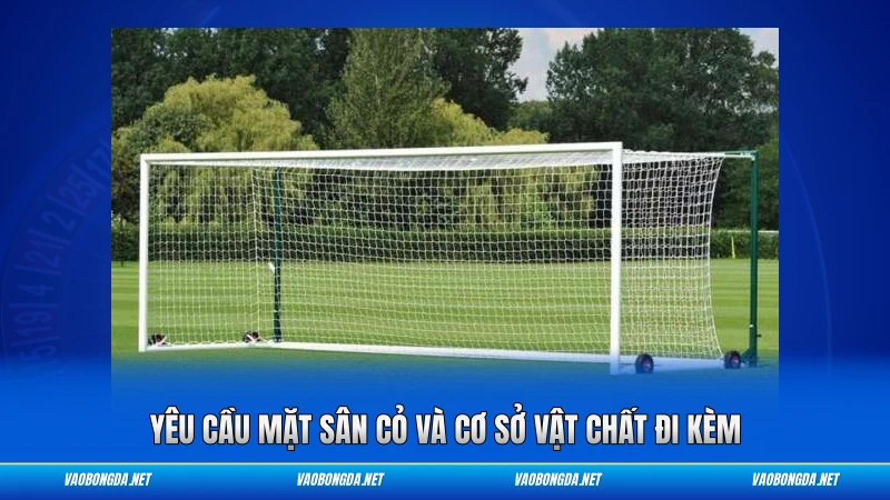 Yêu cầu mặt sân cỏ và cơ sở vật chất đi kèm